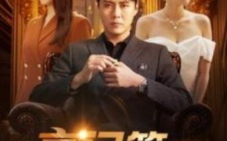 短剧《豪门第一继承人（101集全）》免费观看