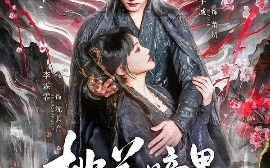 短剧《桃花暗里鹤长音（60集）王宇威&李霖霏 (2025)》全集免费在线观看