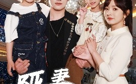 短剧《哑妻不做笼中雀（61集）王子怡&崔旭阳 (2025)》全集免费在线观看