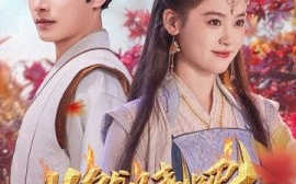 短剧《燃烧吧胖妃 (2025)》全集免费在线观看
