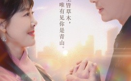 短剧《佳妻如梦（70集）(2025)》全集免费在线观看