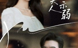 短剧《总裁夫人从不示弱（39集）滕昊天&李文瑞 (2025)》全集免费在线观看 