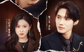 短剧《谎言撕碎后（30集）韩江宇＆龙宇婧&甘欣然 (2025)》全集免费在线观看