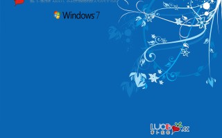 新萝卜家园 WIN7 64位旗舰版 V2021.06(集成10代/11代usb驱动)