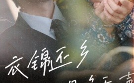 短剧《衣锦还乡之母唤无声 (2025)》全集免费在线观看