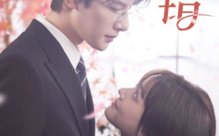 短剧《差错（40集全）》免费观看
