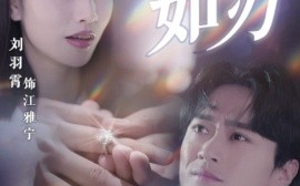 短剧《情深如刃（48集）李旭东&刘羽霄 (2025)》全集免费在线观看