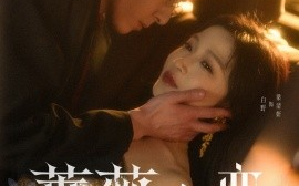 短剧《蔷薇之恋（82集）林枫松＆白野 (2025)》全集免费在线观看