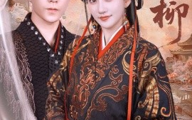 短剧《愿红柳（72集）祁圣瀚&鲍治玥 (2025)》全集免费在线观看