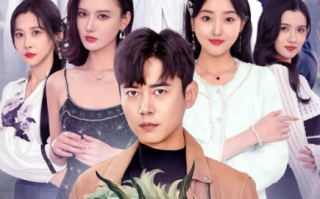 短剧《入世（76集全）》免费观看