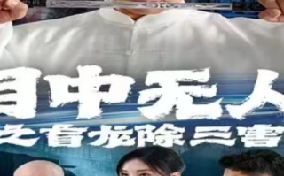 短剧《目中无人之盲龙除三害（65集全）》免费观看