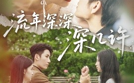 短剧《流年深深深几许（70集）崔秀子&刘博洋&王已歌 (2025)》全集免费在线观看