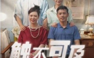 短剧《触不可及（30集全）》免费观看