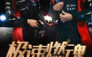 短剧《极速燃魂（30集全）》免费观看