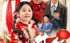 短剧《回娘家，过大年 (2025)》全集免费在线观看