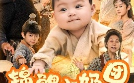 短剧《锦鲤小奶团，带领全家逆天改命（64集）王艳秋 (2025)》全集免费在线观看 