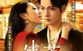 短剧《缚茧（63集）周玉玲&刘叁肆 (2025)》全集免费在线观看
