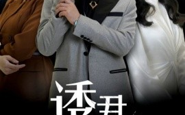 短剧《诱君入局 (2025)》全集免费在线观看