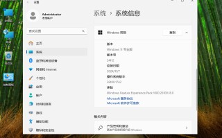 Win11 24H2专业版下载_Win11 24H2专业版iso镜像下载【64位正式版】