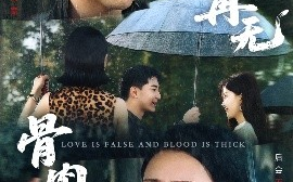 短剧《此间再无骨肉情（60集）贺龙天＆高岫楠 (2025)》全集免费在线观看