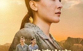 短剧《婆婆当家，儿子归来傻眼了（80集）王亚杰&张雨霏 (2025)》全集免费在线观看