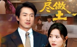 短剧《十年婚姻尽做土（66集）商琪&任珺行 (2025)》全集免费在线观看