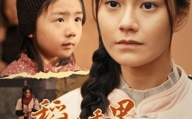 短剧《稻花香里说丰年 (2025)》全集免费在线观看
