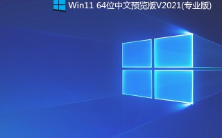 Win11 64位中文预览版 V2021(Build10.0.22000.51专业版)