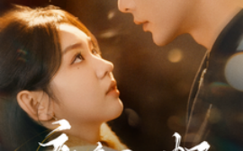 短剧《夜色入怀 (2025)》全集免费在线观看