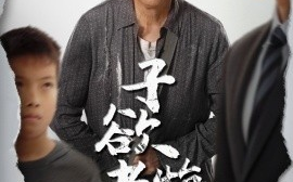 短剧《子欲孝悔无时（54集）米琦&吴子明 (2025)》全集免费在线观看