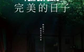 完美的日子 (2023)高清蓝光4k免费在线观看