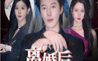 短剧《离婚后，他在娱乐圈杀疯了（66集全）》免费观看