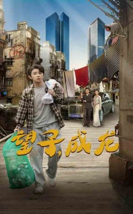 短剧《望子，成龙 (2024)》全集免费在线观看