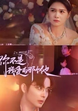 短剧《你不是我爱的那个他 (2024)》全集免费在线观看-第1张图片-力界网