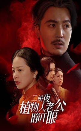 短剧《二婚夜植物人老公睁开眼 (2025)》全集免费在线观看