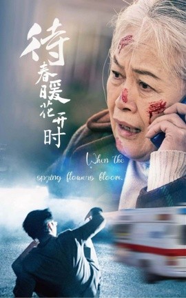 短剧《待春暖花开时 (2025)》全集免费在线观看