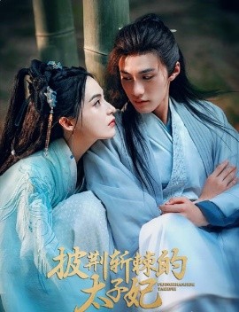 短剧《披荆斩棘的太子妃 (2025)》全集免费在线观看