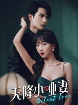 短剧《天降小哑妻 (2025)》全集免费在线观看-第1张图片-力界网