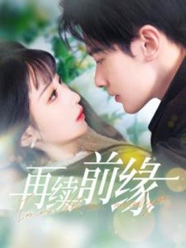 短剧《再续前缘 (2025)》全集免费在线观看-第1张图片-力界网