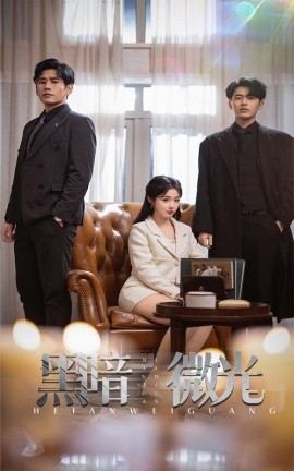 短剧《黑暗微光 (2025)》全集免费在线观看-第1张图片-力界网