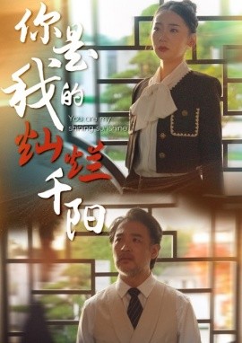 短剧《你是我的灿烂千阳 (2025)》全集免费在线观看-第1张图片-力界网