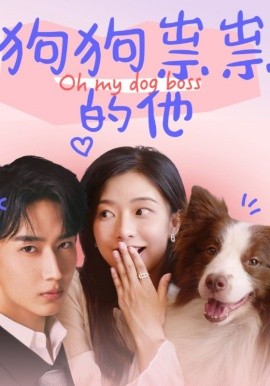 短剧《狗狗祟祟的他 (2025)》全集免费在线观看-第1张图片-力界网