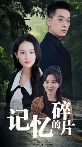 短剧《记忆的碎片 (2025)》全集免费在线观看-第1张图片-力界网
