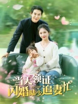 短剧《当天领证闪婚陆少追妻忙 (2025)》全集免费在线观看-第1张图片-力界网