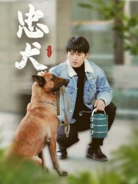 短剧《忠犬 (2025)》全集免费在线观看