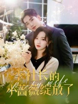 短剧《季社长的小蔷薇绽放了 (2025)》全集免费在线观看-第1张图片-力界网