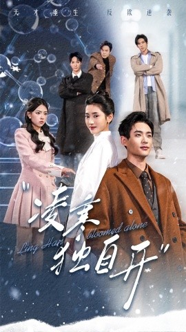 短剧《凌寒独自开 (2025)》全集免费在线观看-第1张图片-力界网