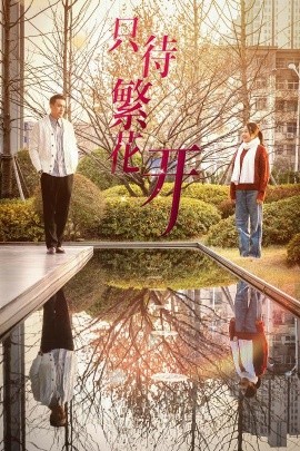 短剧《只待繁花开 (2025)》全集免费在线观看-第1张图片-力界网