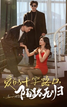短剧《爱的十字路口，陌路无归 (2025)》全集免费在线观看-第1张图片-力界网