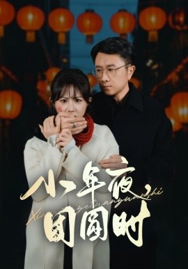 短剧《小年夜，团圆时 (2025)》全集免费在线观看-第1张图片-力界网